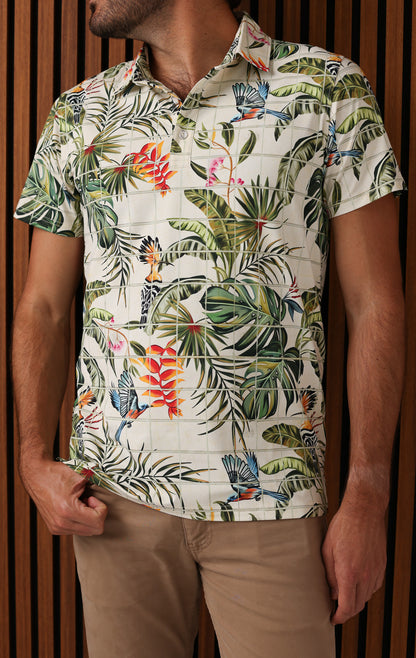 ANYWHERE POLO TROPICANA GROVE