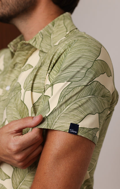 ANYWHERE POLO PALMARA