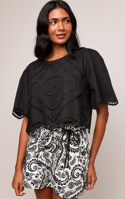 CLEO TOP