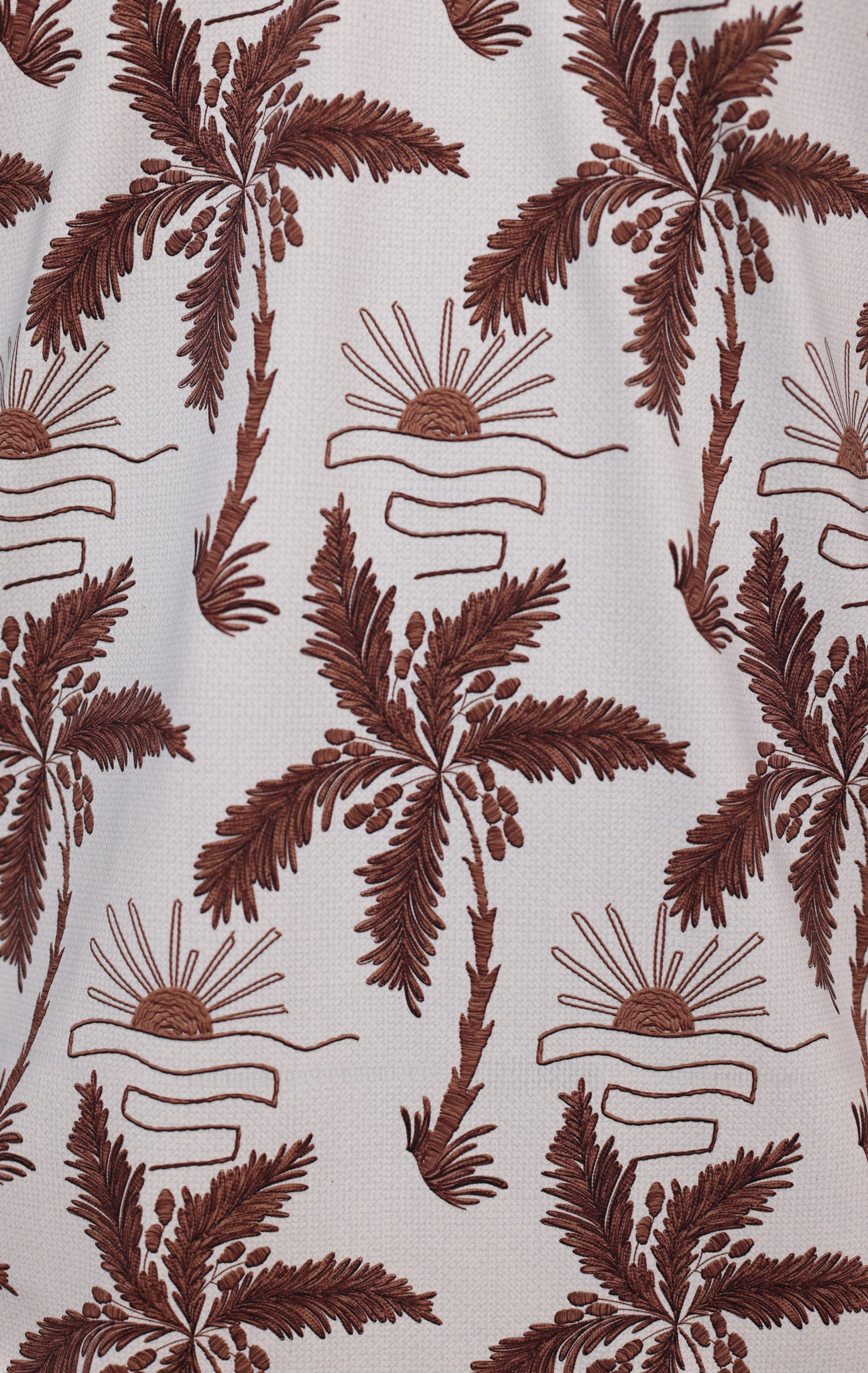 ANYWHERE POLO PALM HARBOR