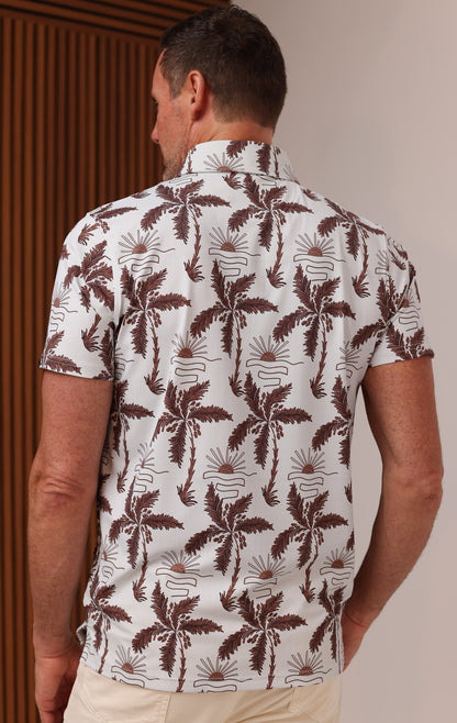 ANYWHERE POLO PALM HARBOR