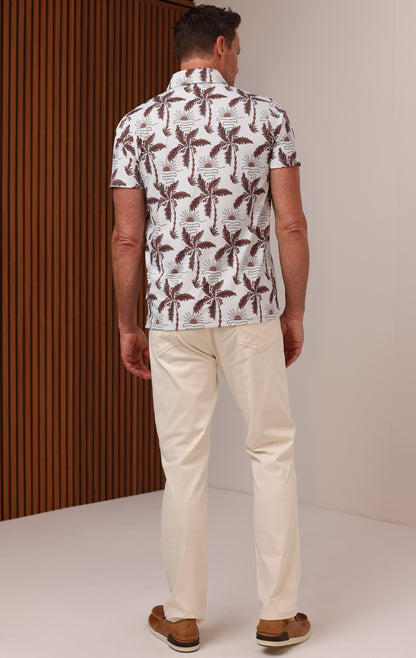 ANYWHERE POLO PALM HARBOR