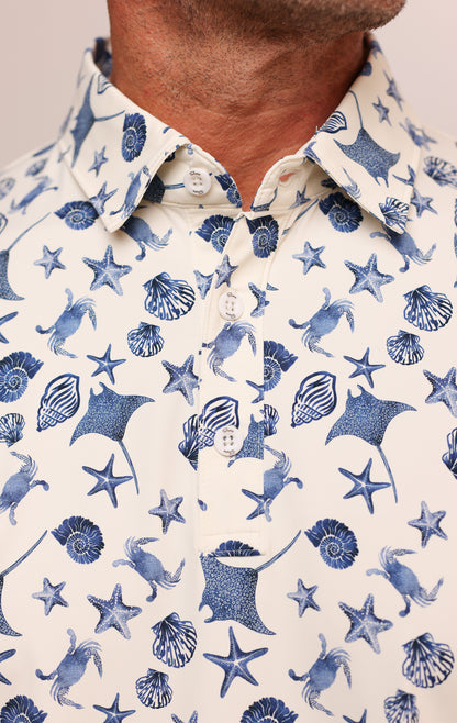 ANYWHERE POLO