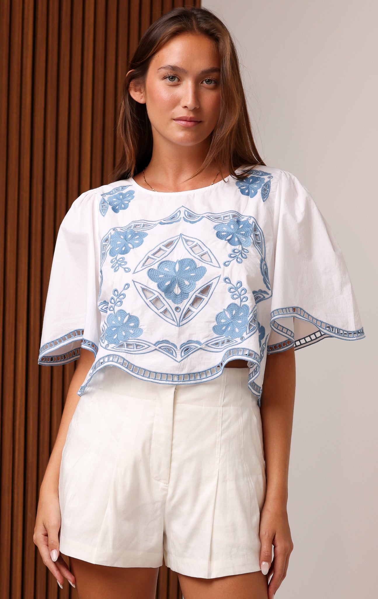 CLEO TOP