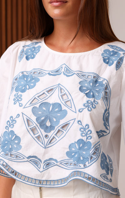 CLEO TOP