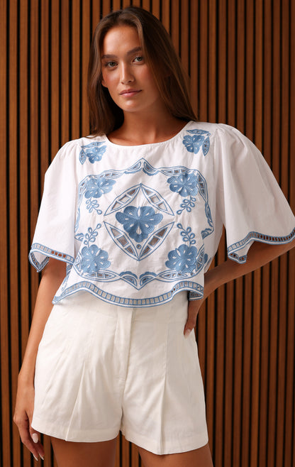 CLEO TOP