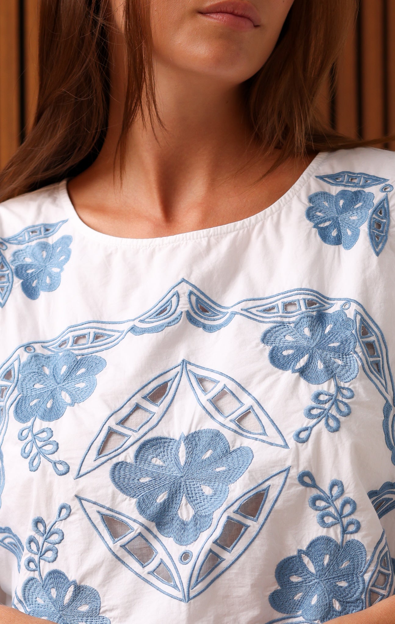 CLEO TOP