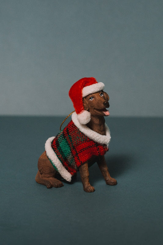 Santa's Puppy Ornament - -