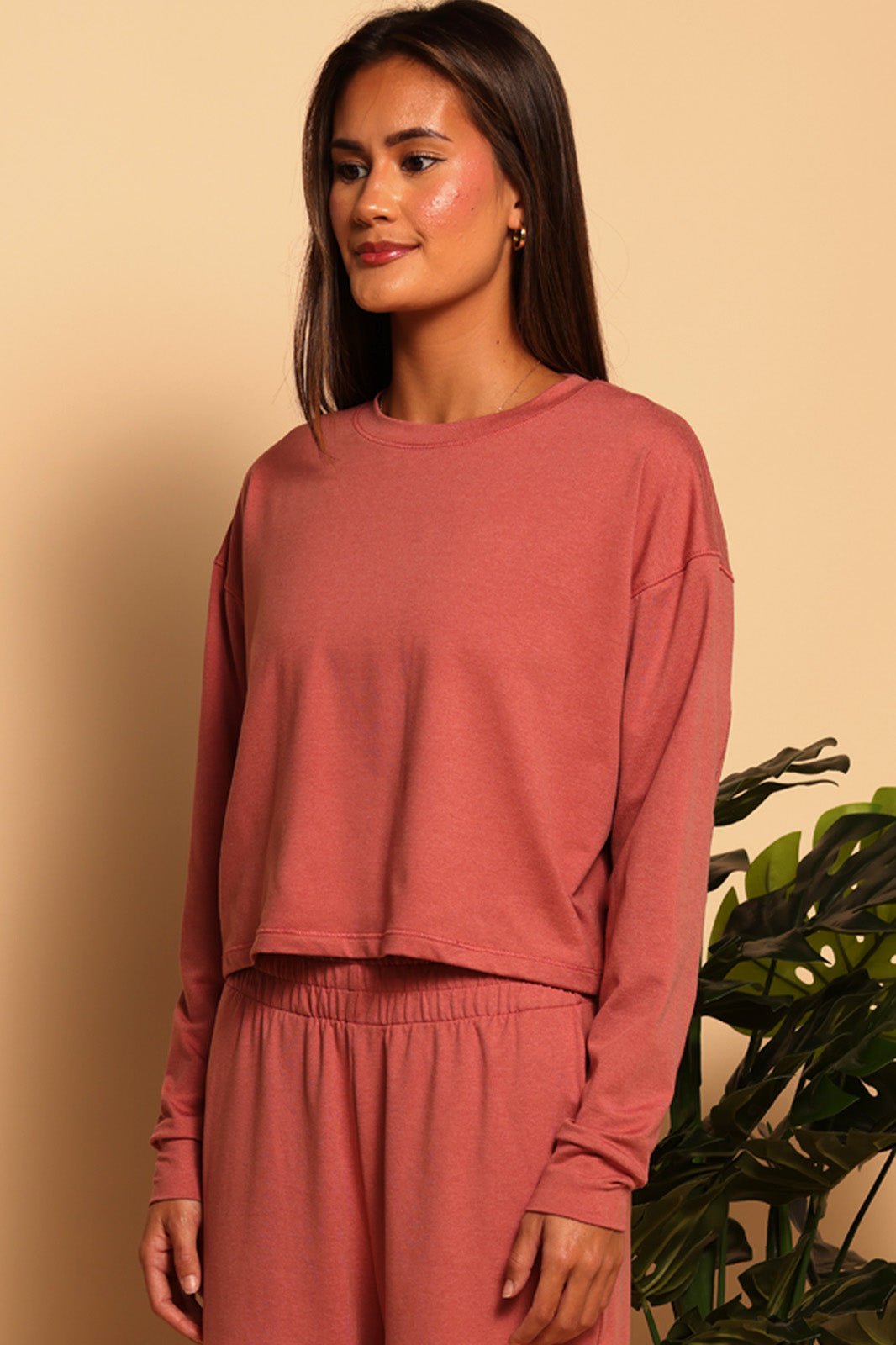 PULLOVER SWEATSHIRT - SEDONA CLAY - XS