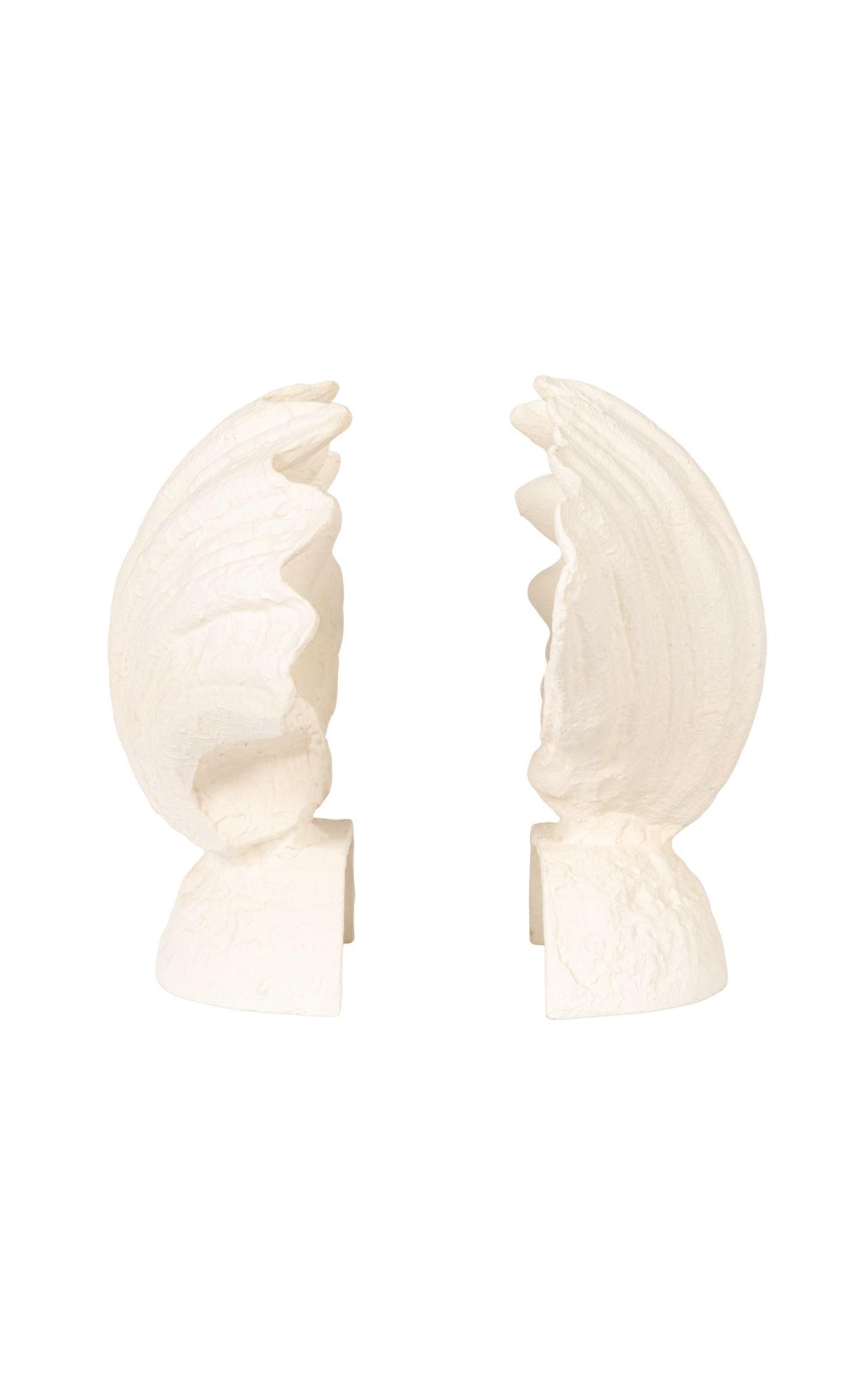 CAST IRON SHELL SHAPED BOOKENDS, MATTE FINISH, CREAM COLOR, SET OF 2