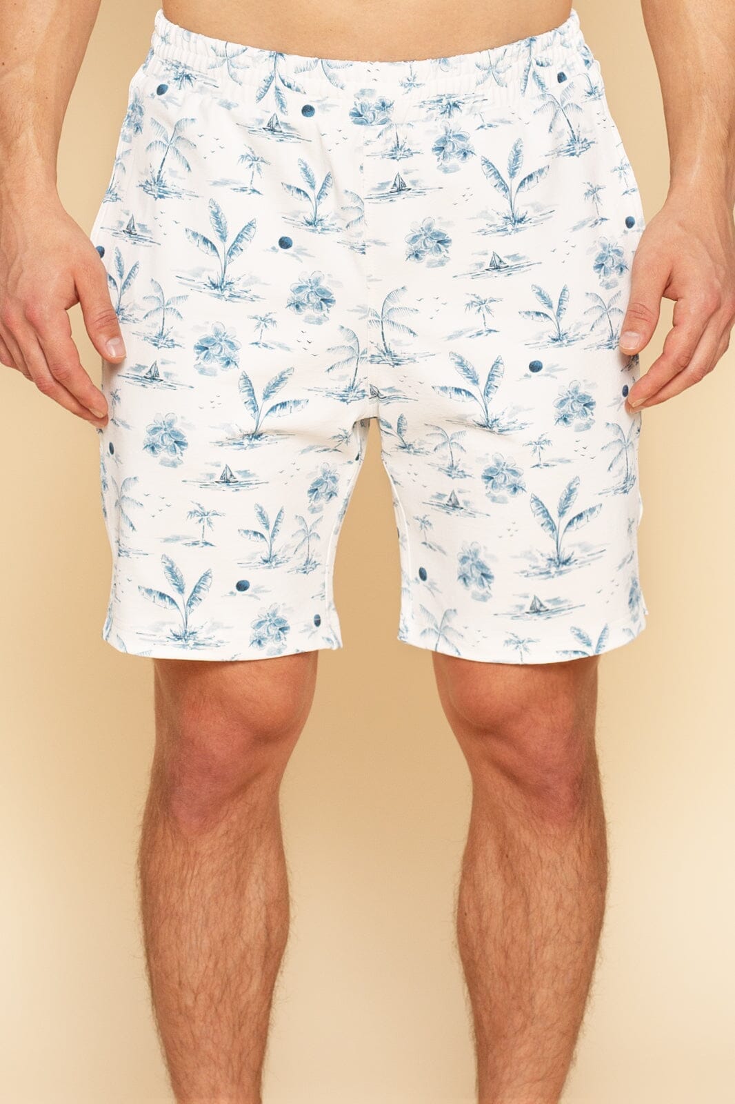 Tidewater Volley Boardshort White With Pattern